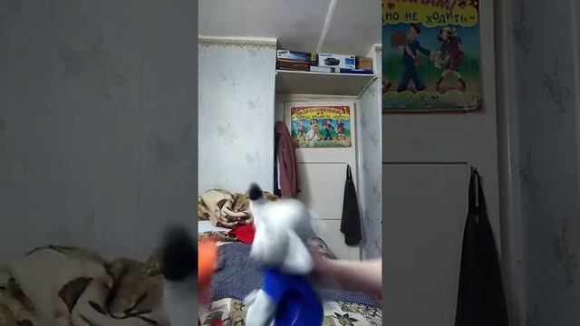 ТИПЫ ЗВЕРЕЙ НА КАНИКУЛАХ УТРОМ ОЧЕНЬ СМЕШНО ЗАЯЦ МЫШКА ВОЛК ЛИСА БОРИС СЕРГЕЕВИЧ И ЛЯГУХА МИХАЙЛОВН смотреть онлайн