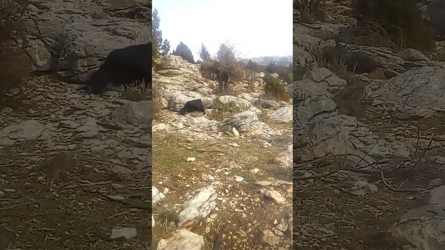 rahmetli üstad Taner olgun anısına...#doğa#köy#tanerolgun#var#git#ölüm... смотреть онлайн