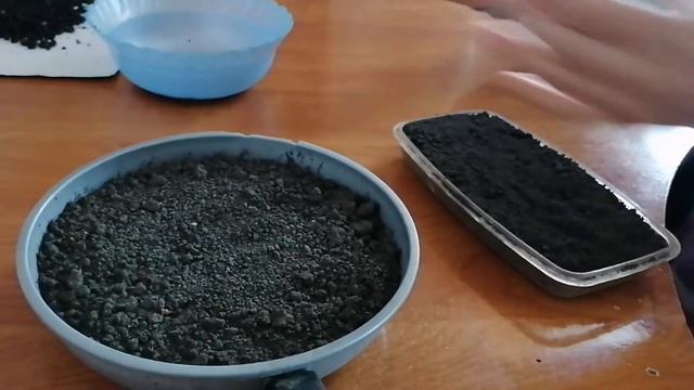 Сію насіння лілейників! смотреть онлайн