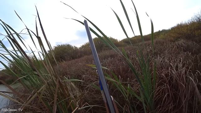 ШОК! ПОДНЯЛИ ОГРОМНУЮ СТАЮ! КУДА СТРЕЛЯТЬ? Охота на утку с подхода осенью. смотреть онлайн