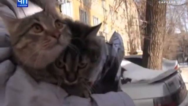 В Заводском районе загорелось одно из общежитий смотреть онлайн
