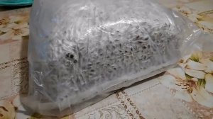 Мицелий вешенки. Виды мицелия. Условия хранения. Выбор штамма вешенки.