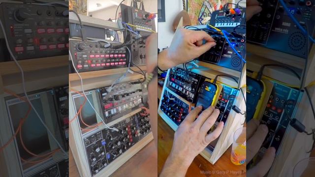 THE SHORES OF UNITY: An Impro Techno'ish Journey modelD volca kick kaossko2 nts1 sq1 смотреть онлайн
