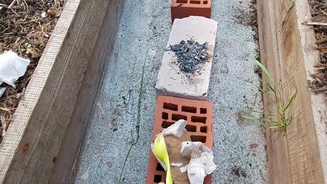 Борьба с грызущими на перце в теплице! смотреть онлайн