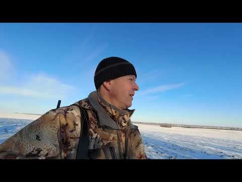 Охота на лису и первый трофей