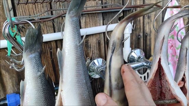 Танцы и Хореография