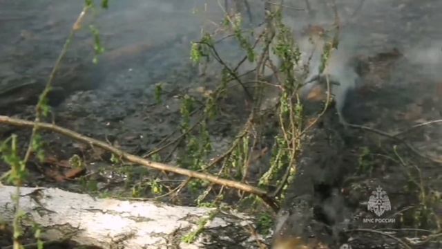 Более 200 человек сражаются с огнём в Оренбургской области смотреть онлайн