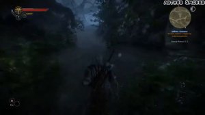 The witcher 2 #10 Ищем Тенекост