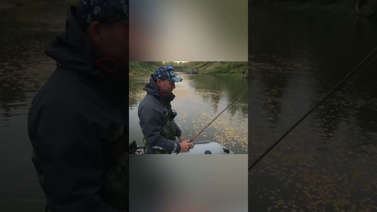 Борзые удочколомательные ЩУКИ только в #снастиздрасьте #ловлящуки https://youtu.be/wDAXRH457eE смотреть онлайн