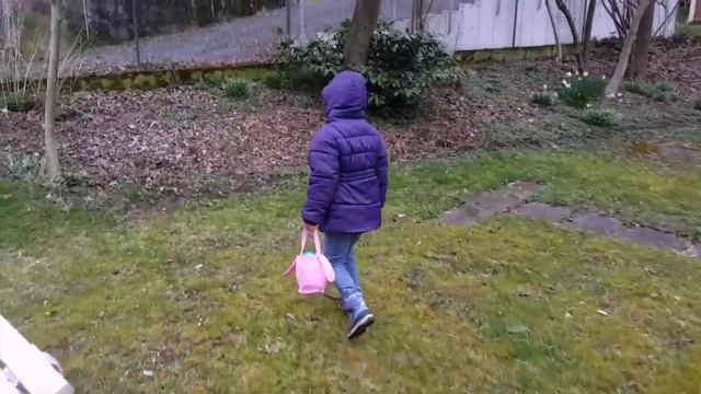 Ищем пасхальные яица которые спрятал заичик смотреть онлайн