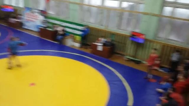 Соревнования по спортивному самбо. смотреть онлайн