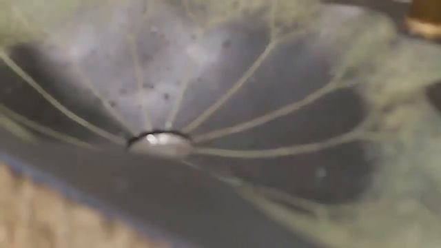 Японская раковина #yf_kak_interesno #раковина #ванная #ваннаякомната #ваннаякомнатадизайн