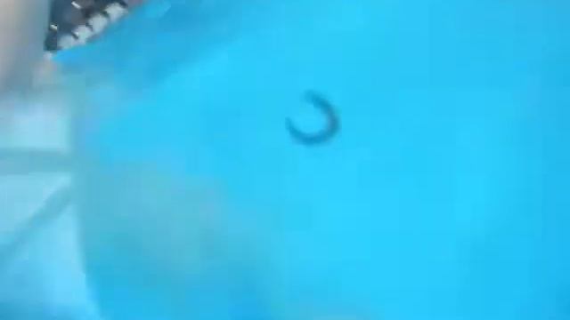 Viog : Курский аквапарк " Чудоостров" смотреть онлайн