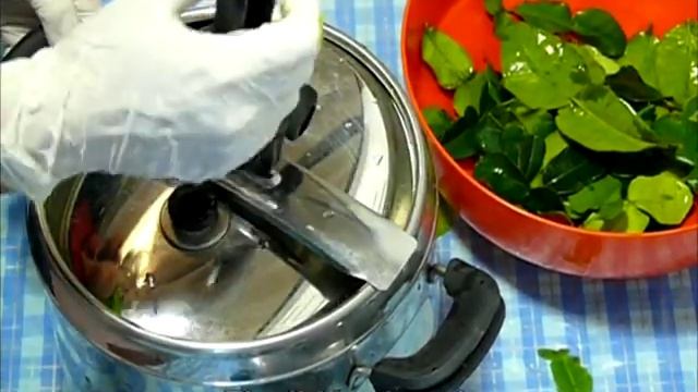 Steam distillation of essential oil from fresh Kaffir Lime leaves смотреть онлайн