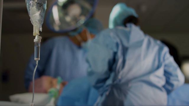 What To Do If You Are Bitten By a Black Mamba смотреть онлайн