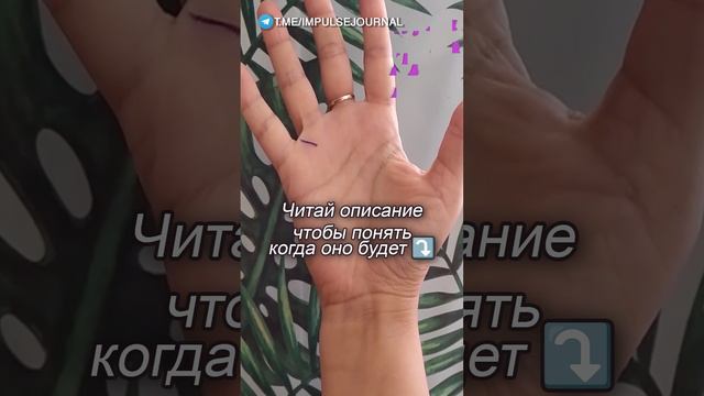 Линия наследства. Хиромантия #хиромантия #линия_наследства #финансовыйуспех #тайнырук #предсказания смотреть онлайн