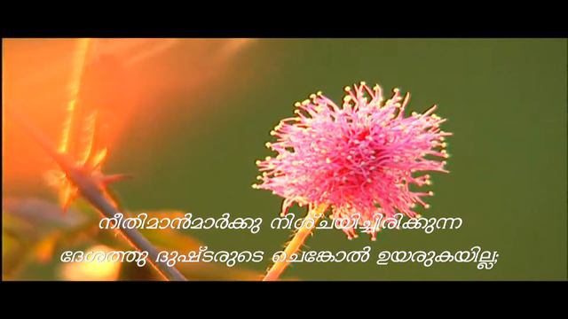 Psalm 125 смотреть онлайн