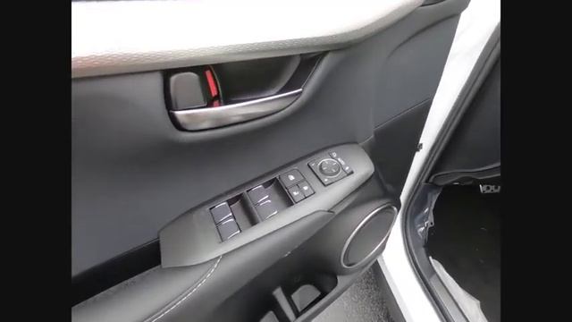 2020 Lexus NX 300 F SPORT Schaumburg IL 200029