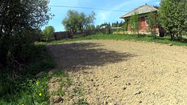 Смелый заяц. В огороде. Выполняю новый заказ. Строить или нет? смотреть онлайн