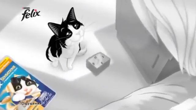 FELIX® SENSATIONS в Удивительном Соусе