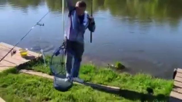 Каньон - обзор с Основного водоëма 17.05.2023. #каньон #рыбалканакарпа смотреть онлайн