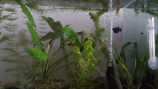 Секреты Творческого Вдохновения