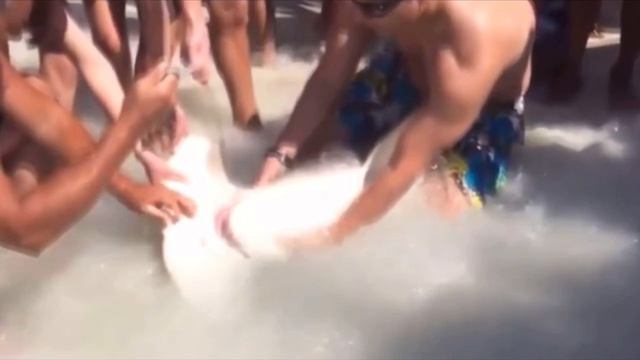 Когда он понял, что у акулы во рту, сразу же бросился на помощь смотреть онлайн