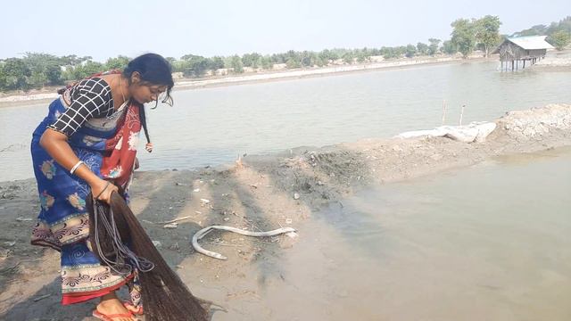 Traditional Net Fishing||Catching Fish With A Cast Net By Village Pond.@Srabontifishingbd5791(part- смотреть онлайн
