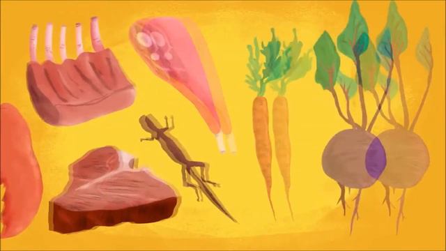 Кариес - что это? Откуда берется кариес? Stomatologia VI Karies 1