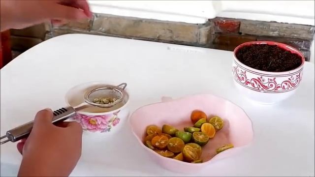 How to Grow Calamansi / Calamondin in a Mug from Seed (Lemon or Citrus) смотреть онлайн