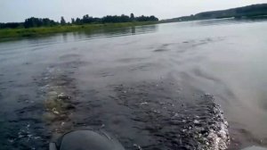 Риф 325 НД  мотор 8л.с.  В лодке двое.