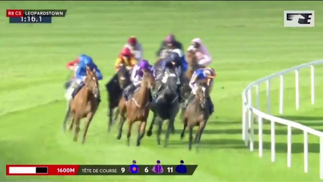 The Matron Stakes 2017 (Group 1) - Hydrangea [LEOPARDSTOWN] смотреть онлайн