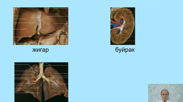 Umumiy farmakalogiya смотреть онлайн