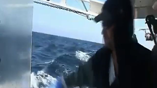 Рыба меч Жизнь на крючке 1 й сезон 5 я серия смотреть онлайн