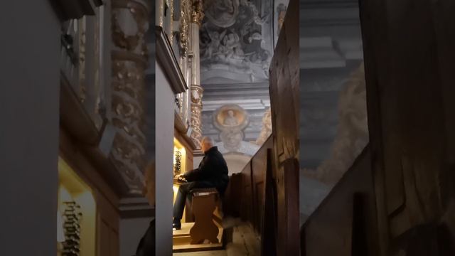 Johann Adam Reincken: Toccata in g смотреть онлайн