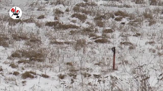 На Урале больше нет чистых водоёмов? смотреть онлайн