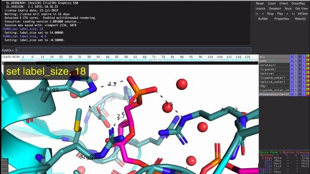 PyMOL: Labels (That actually look good!) смотреть онлайн