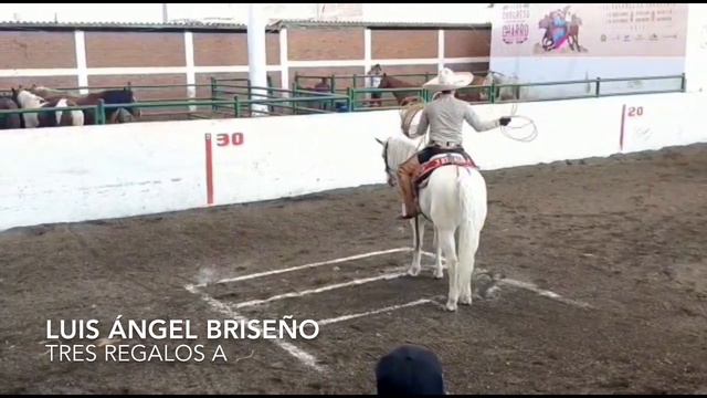 cuartos de final nacional aaa 2019 piales toronjo enrique ramirez juan soltero juan pablo franco смотреть онлайн
