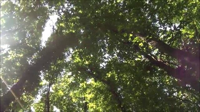 Знахарка и знахарь - С.А.