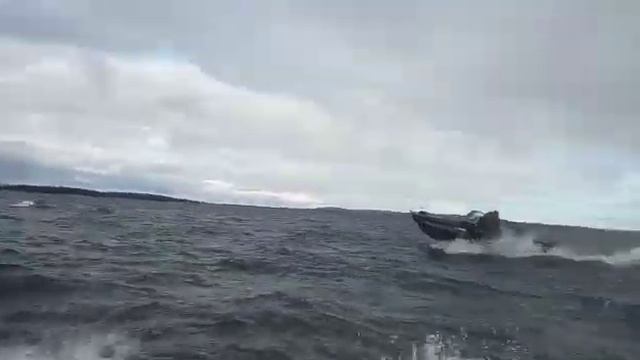 Море волнуется раз. Лодка пнд Север 460 XL. The sea is agitated once. Boat HDPE North 460 XL смотреть онлайн