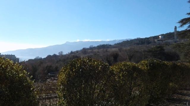 Подснежники, Саркококка, Морозник. Никитский сад 24.02.2017 смотреть онлайн