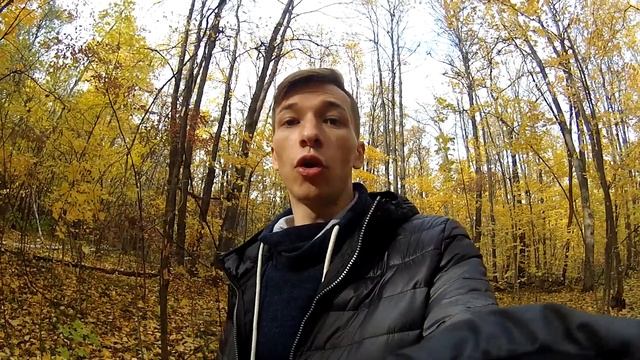 КТО ЛУЧШИЙ БОЕЦ КАДЕБО ИЛИ ПИТБУЛЬ смотреть онлайн