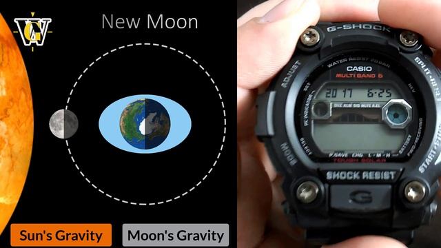 Casio GW 7900 Moon Phase & Tide Graph Function - How To Setup And Use
