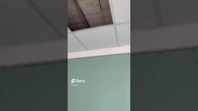 Заехали в новый офис, делаем ремонт. А тут… смотреть онлайн