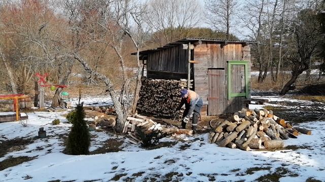 Три дня в деревне. Пилим,колим и складываем дрова. #деревня #дрова смотреть онлайн