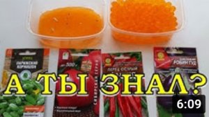 ЧУДО-ГИДРОГЕЛЬ: как использовать с пользой???