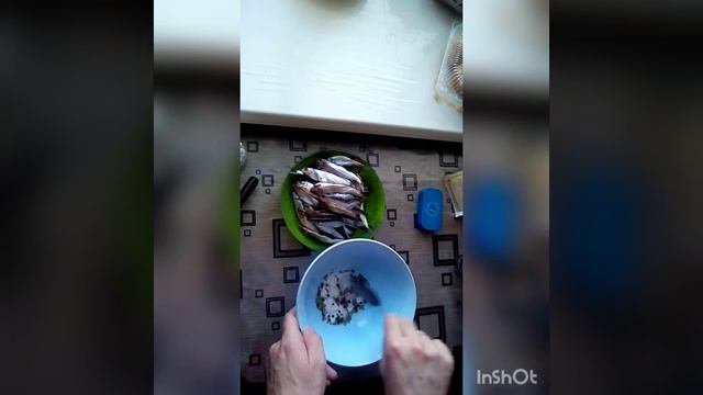 Мир Маленьких Пушистых