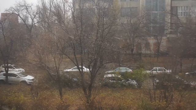 ПЕРВЫЙ СНЕГ......ВОЛГОГРАД.......НОЯБРЬ......... смотреть онлайн