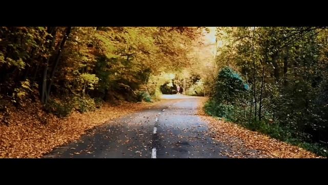 Ты Получишь Железобетонную Уверенность! Просто Делай Это Каждый День | Маргулан Сейсембаев Мотиваци смотреть онлайн