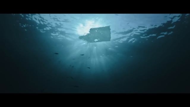 THE REQUIN Trailer (2022) смотреть онлайн